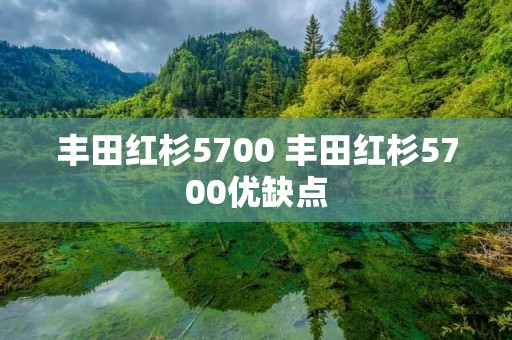 丰田红杉5700 丰田红杉5700优缺点