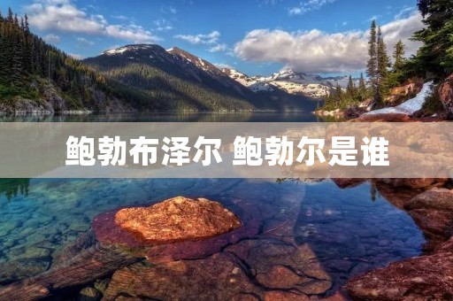 鲍勃布泽尔 鲍勃尔是谁