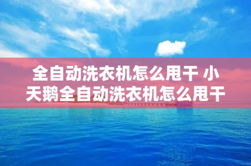 全自动洗衣机怎么甩干 小天鹅全自动洗衣机怎么甩干