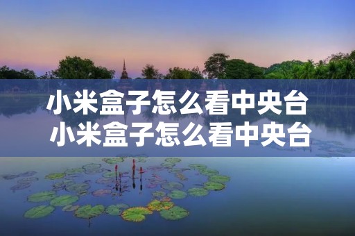 小米盒子怎么看中央台 小米盒子怎么看中央台直播