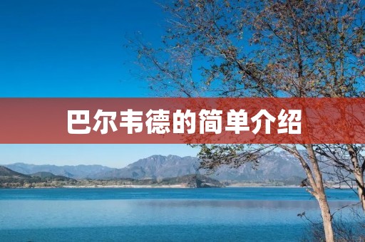 巴尔韦德的简单介绍