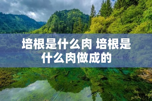 培根是什么肉 培根是什么肉做成的 培根是什么肉 培根是什么肉做成的
