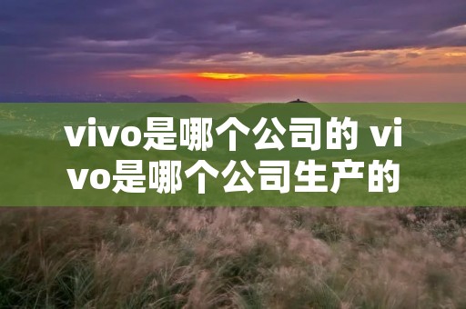 vivo是哪个公司的 vivo是哪个公司生产的 vivo是哪个公司的 vivo是哪个公司生产的