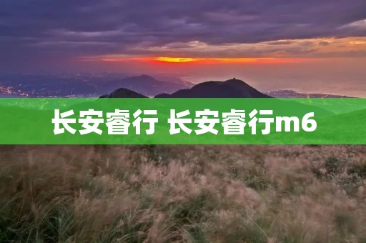长安睿行 长安睿行m60 长安睿行 长安睿行m60