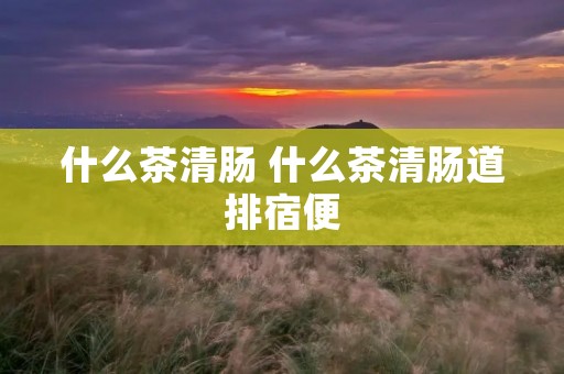 什么茶清肠 什么茶清肠道排宿便 什么茶清肠 什么茶清肠道排宿便