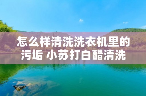 怎么样清洗洗衣机里的污垢 小苏打白醋清洗洗衣机真的有用吗
