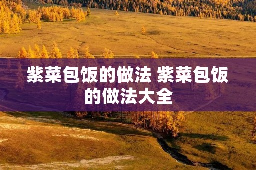 紫菜包饭的做法 紫菜包饭的做法大全