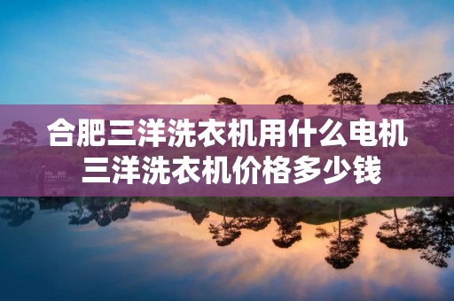 合肥三洋洗衣机用什么电机 三洋洗衣机价格多少钱