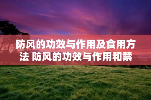 防风的功效与作用及食用方法 防风的功效与作用和禁忌 防风的功效与作用及食用方法 防风的功效与作用和禁忌