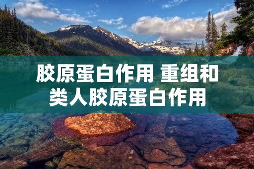 胶原蛋白作用 重组和类人胶原蛋白作用 胶原蛋白作用 重组和类人胶原蛋白作用