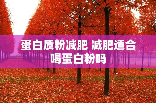 蛋白质粉减肥 减肥适合喝蛋白粉吗