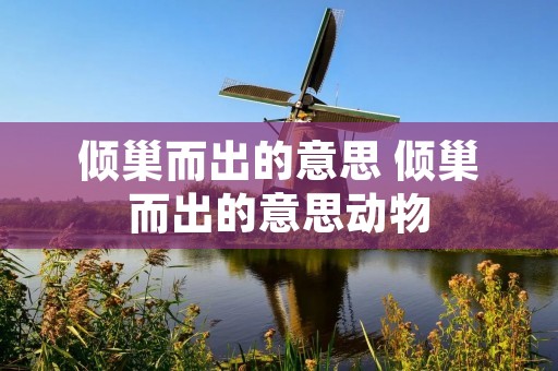 倾巢而出的意思 倾巢而出的意思动物