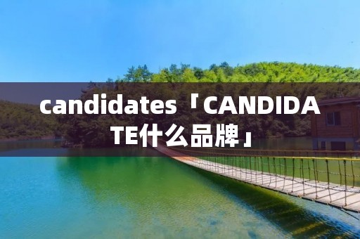 candidates「CANDIDATE什么品牌」