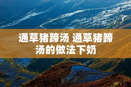 通草猪蹄汤 通草猪蹄汤的做法下奶