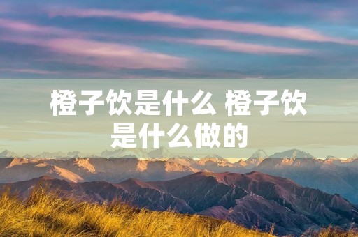 橙子饮是什么 橙子饮是什么做的 橙子饮是什么 橙子饮是什么做的