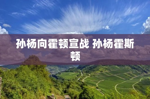 孙杨向霍顿宣战 孙杨霍斯顿
