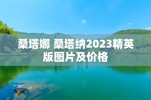 桑塔娜 桑塔纳2023精英版图片及价格 桑塔娜 桑塔纳2023精英版图片及价格