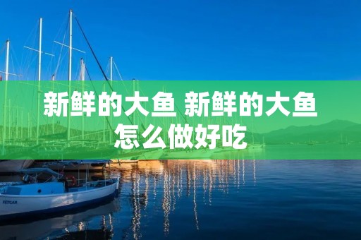 新鲜的大鱼 新鲜的大鱼怎么做好吃