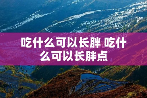 吃什么可以长胖 吃什么可以长胖点
