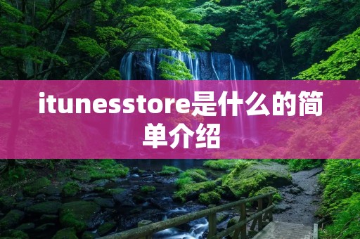 itunesstore是什么的简单介绍