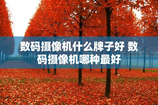 数码摄像机什么牌子好 数码摄像机哪种最好 数码摄像机什么牌子好 数码摄像机哪种最好