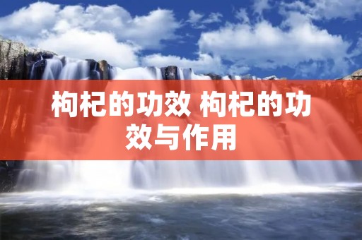 枸杞的功效 枸杞的功效与作用
