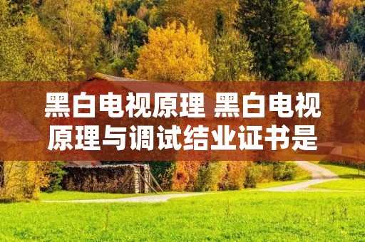 黑白电视原理 黑白电视原理与调试结业证书是什么