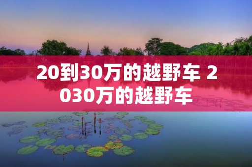 20到30万的越野车 2030万的越野车