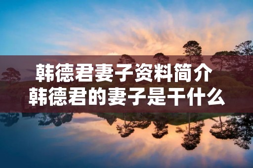 韩德君妻子资料简介 韩德君的妻子是干什么的