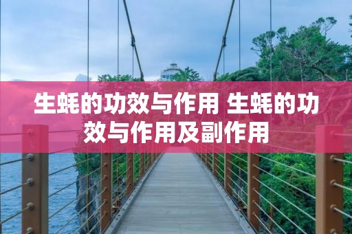 生蚝的功效与作用 生蚝的功效与作用及副作用 生蚝的功效与作用 生蚝的功效与作用及副作用