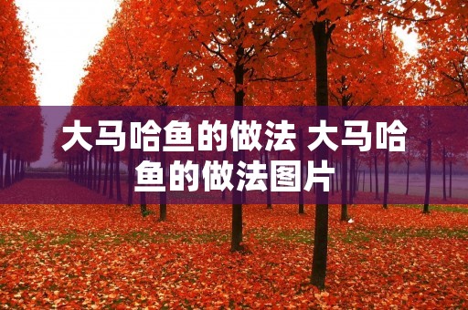 大马哈鱼的做法 大马哈鱼的做法图片 大马哈鱼的做法 大马哈鱼的做法图片