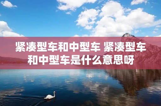 紧凑型车和中型车 紧凑型车和中型车是什么意思呀