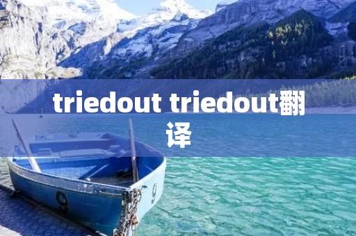 triedout triedout翻译