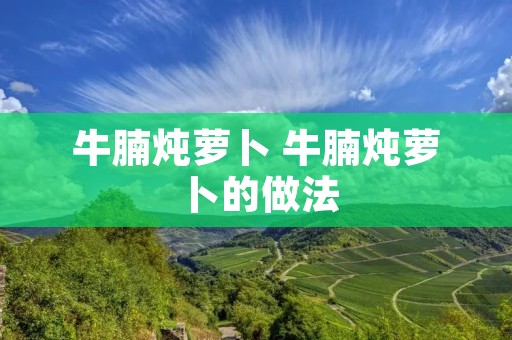 牛腩炖萝卜 牛腩炖萝卜的做法