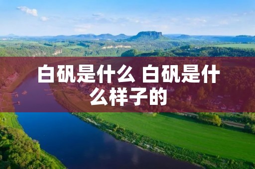 白矾是什么 白矾是什么样子的