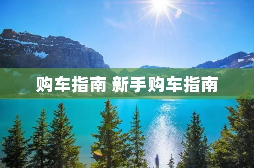 购车指南 新手购车指南