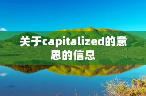 关于capitalized的意思的信息