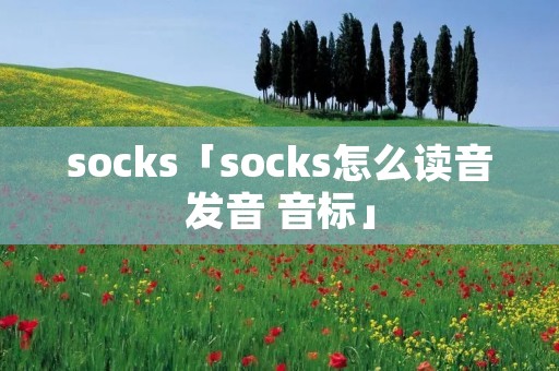 socks「socks怎么读音发音 音标」