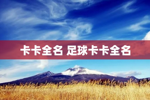 卡卡全名 足球卡卡全名 卡卡全名 足球卡卡全名