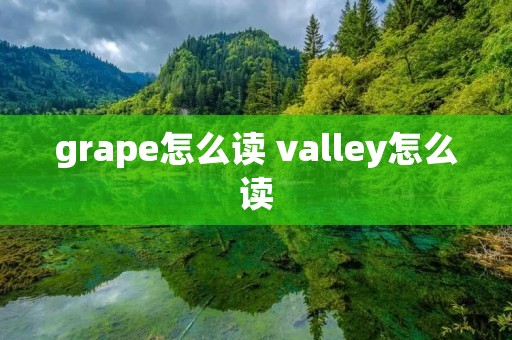 grape怎么读 valley怎么读