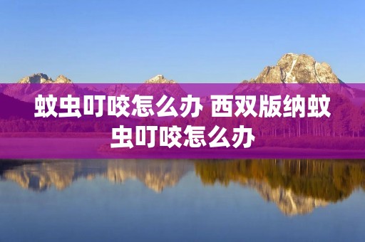 蚊虫叮咬怎么办 西双版纳蚊虫叮咬怎么办 蚊虫叮咬怎么办 西双版纳蚊虫叮咬怎么办