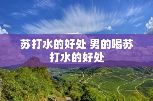 苏打水的好处 男的喝苏打水的好处