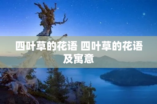 四叶草的花语 四叶草的花语及寓意