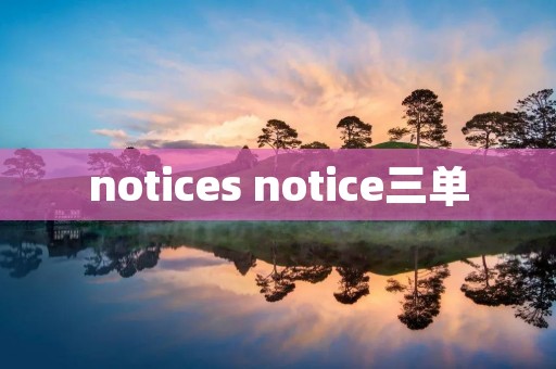 notices notice三单