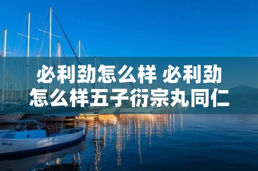 必利劲怎么样 必利劲怎么样五子衍宗丸同仁堂和仁和那个好