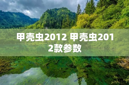 甲壳虫2012 甲壳虫2012款参数