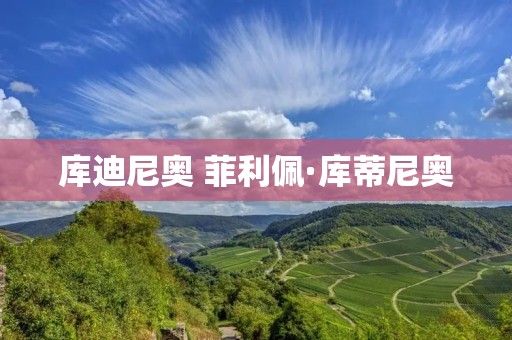 库迪尼奥 菲利佩·库蒂尼奥 库迪尼奥 菲利佩·库蒂尼奥