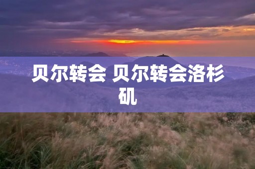 贝尔转会 贝尔转会洛杉矶 贝尔转会 贝尔转会洛杉矶
