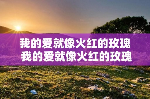 我的爱就像火红的玫瑰 我的爱就像火红的玫瑰成就 我的爱就像火红的玫瑰 我的爱就像火红的玫瑰成就