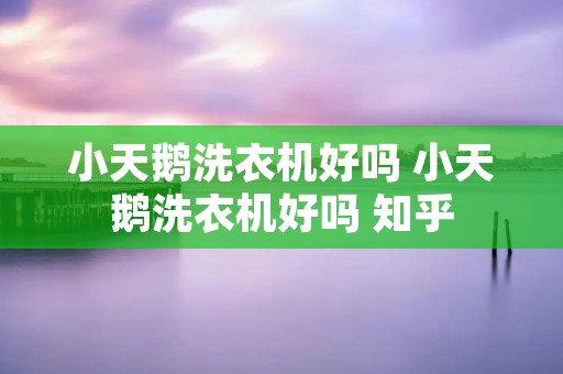 小天鹅洗衣机好吗 小天鹅洗衣机好吗 知乎